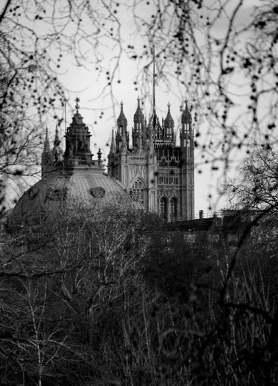 Parliament Through The Trees